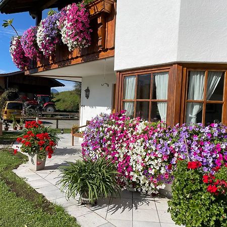 Gaestehaus Seeklause Schwangau Zewnętrze zdjęcie