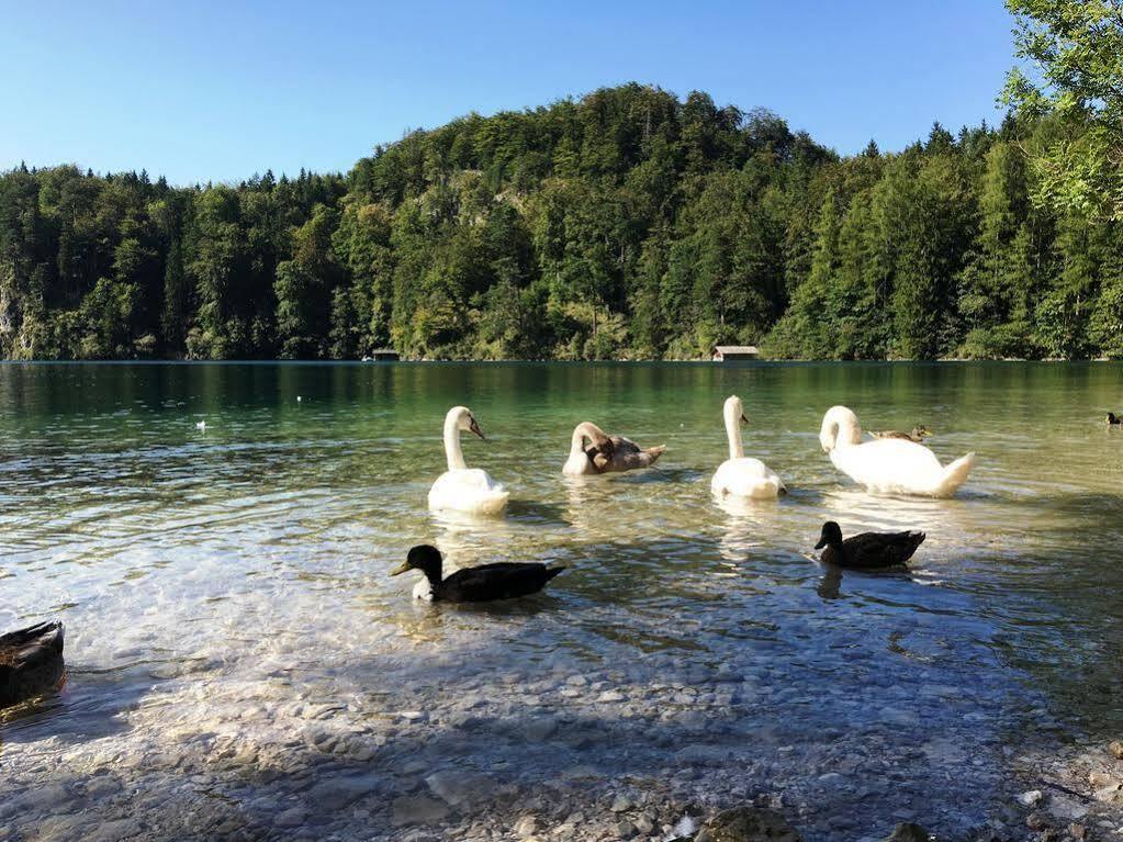 Gaestehaus Seeklause Schwangau Zewnętrze zdjęcie